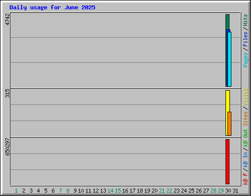 Daily usage for June 2025