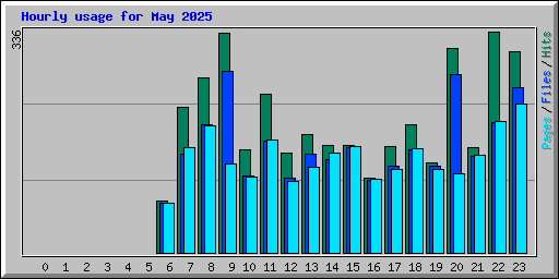 Hourly usage for May 2025