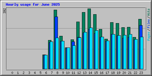Hourly usage for June 2025