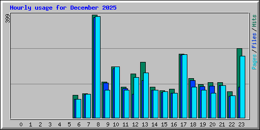 Hourly usage for December 2025