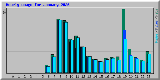 Hourly usage for January 2026